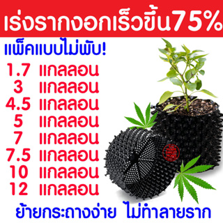 [โค้ดPSK0825ลดเพิ่ม25%]*Clearance* กระถางปลูกต้นไม้เร่งราก Air Pot กระถางมีรู กระถางเพิ่มรากเร็วขึ้น 2เท่าปลูกต้นไม้