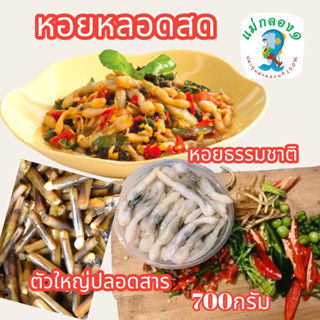 หอยหลอดสด#หอยจากดอนหอยหลอด#ร้านแม่กลอง๑#ตัวใหญ่#ปลอดสาร