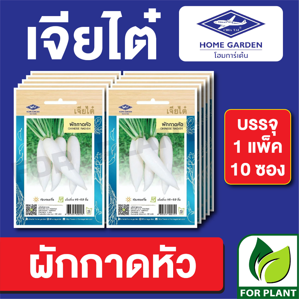 เมล็ดพันธุ์ ผักซอง ผักกาดหัว ตราเจียไต๋ CT15 บรรจุแพ็คละ 10 ซอง ราคา 80 บาท
