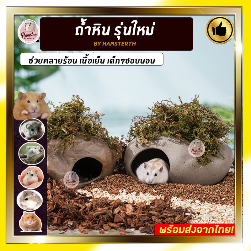 [Hamsterth] ถ้ำหินรุ่นใหม่เนื้อเย็นช่วยคลายร้อนบ้านหลบบ้านแฮมเตอร์บ้านหนูแฮมสเตอร์บ้านเย็นคลายร้อน