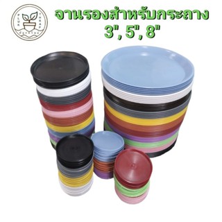 จานรองสำหรับกระถาง 3, 5, 8 นิ้ว (1 ใบ) / ถาดรองกระถางต้นไม้