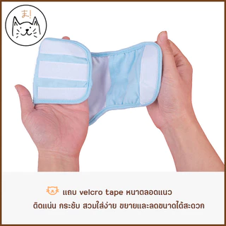 KUMAま โอบิ Kawaii(แบบซักได้) ผ้าอ้อมสุนัขเพศผู้ เกรดพรีเมี่ยม ผ้าอ้อมหมา แพมเพิส ผ้าอ้อมสัตว์เลี้ยง สุนัข โอบิซักได้