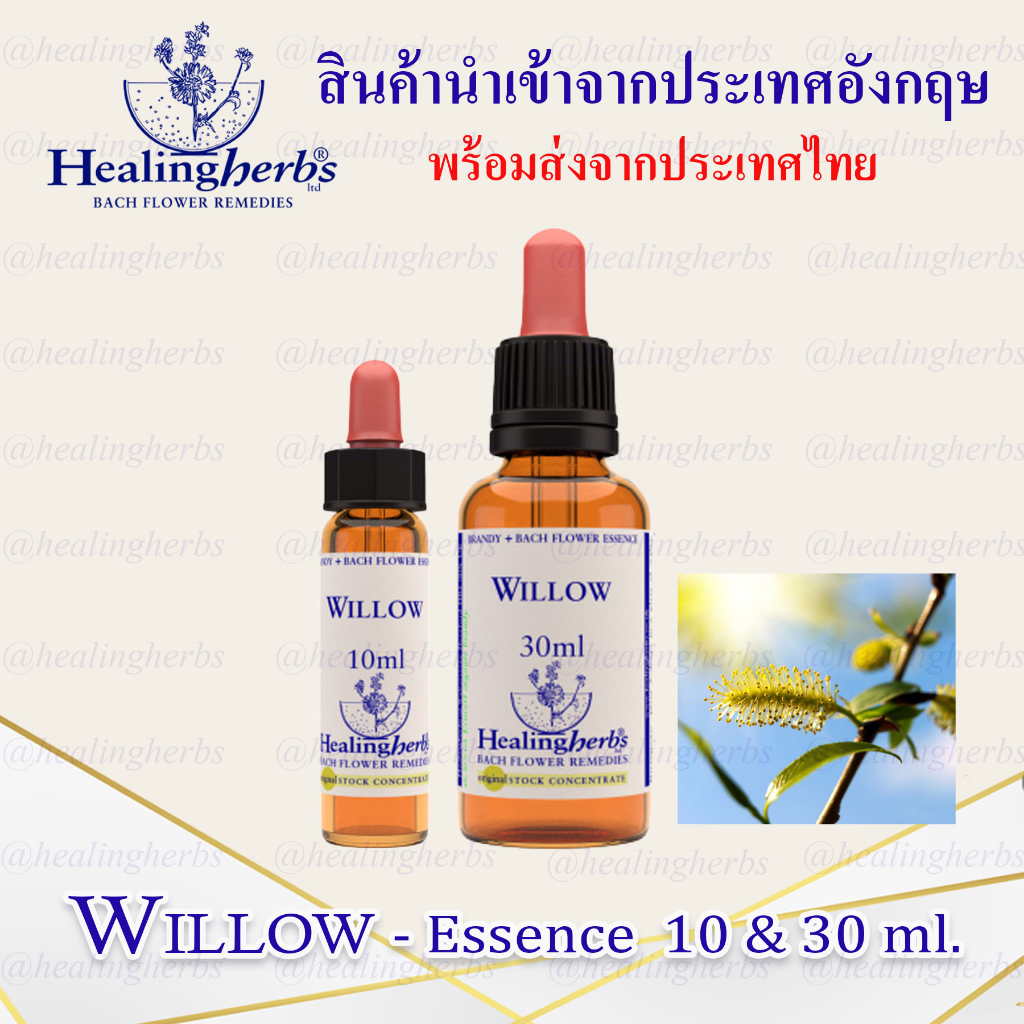 (Willow) Bach Flower Essence (droppler) ขนาด 10 ml. หรือ 30 ml. ของแท้ 100% ***พร้อมส่งในไทย***