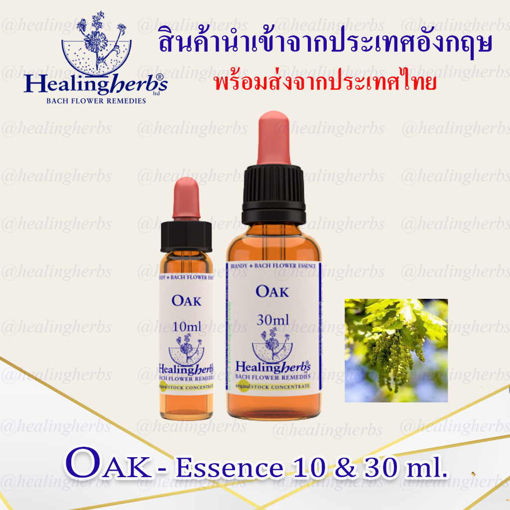 (Oak) Bach Flower Essence (droppler) ขนาด 10 ml. หรือ 30 ml. ของแท้ 100% ***พร้อมส่งในไทย***