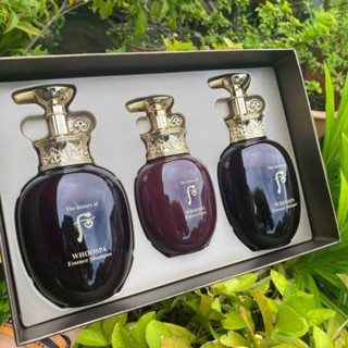 The History of Whoo Whoospa Hair 3 pcs ( Special Set )