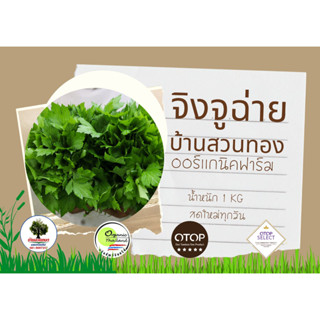 สินค้าต้องรอนานกว่าปกติ  🌿🌿จิงจูฉ่ายออร์เเกนิค 100% ผักสดใหม่ทุกวัน 🌿🌿 🇹🇭ฟาร์มได้รับรางวัลระดับประเทศ ปี2546🇹🇭