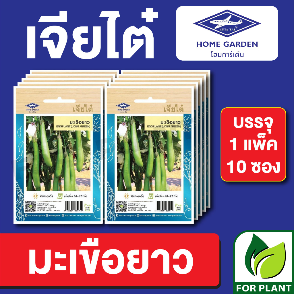 เมล็ดพันธุ์ ผักซอง มะเขือยาว ตราเจียไต๋ CT15 บรรจุแพ็คล่ะ 10 ซอง ราคา 75 บาท