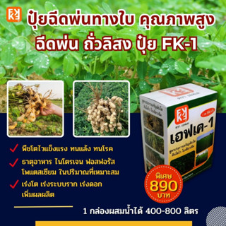 ถั่วลิสง โตไว ใบเขียว น้ำหนักดี ฉีดพ่น ปุ๋ย FK-1 ต้นทุนต่อไร่ถูกกว่าปุ๋ยเม็ด 4 เท่า เพิ่มผลผลิตสูงสุด 20 เปอร์เซ็นต์