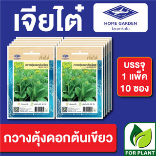 เมล็ดพันธุ์ ผักซอง กวางตุ้งดอกต้นเขียว ตราเจียไต๋ บรรจุแพ็คล่ะ 10 ซอง ราคา 70 บาท