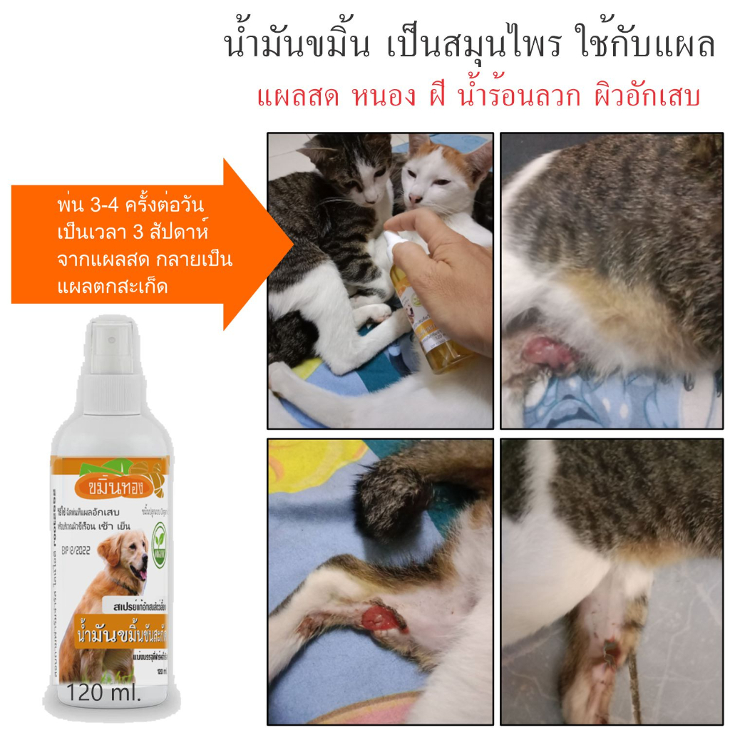 น้ำมันขมิ้นสมุนไพรสรรพคุณจากขมิ้นชัน สัตว์เป็นแผล