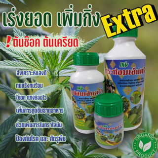 ปุ๋ย ฮอร์โมนพืช BIG VEG Hormone Extraเพิ่มผลผลิต x5 ช่วยกระตุ้นการดูดซึมสารอาหาร คลายเคลียดต้น แก้อาการต้นช๊อค