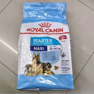 Royal Canin Maxi Starter 4kg อาหารสุนัข พันธุ์ใหญ่ แม่และลูก