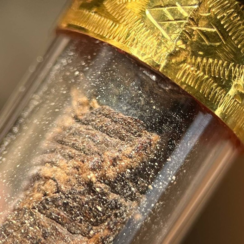 ตะกรุดสาริกาโสฬสมงคล(ยุคต้น)หลวงปู่ศุข วัดปากคลองมะขามเฒ่า พิมพ์นิยม เนื้อทองแดง พร้อมเลี่ยมทองคำแท้