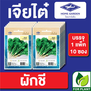 เมล็ดพันธุ์ ผักซอง ผักชี ตราเจียไต๋ บรรจุแพ็คล่ะ 10 ซอง ราคา 70 บาท