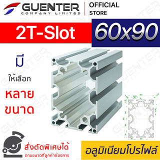 อลูมิเนียมโปรไฟล์ 60×90 2T-Slot มีหลายขนาด (สั่งตัดได้) ยาวสุด 1 เมตร สินค้ามาตรฐาน คุณภาพดี ราคาถูกสุด [ALPC-69-2TS]