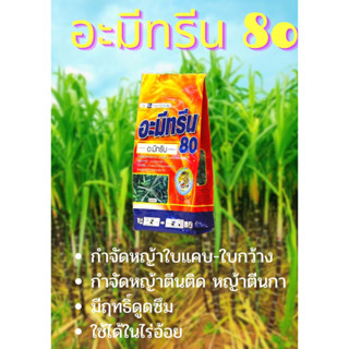 อะมีทรีน-เม็ดกำจัดวัชพืชในไร่อ้อย