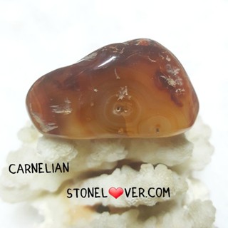 #Carnelian #หินขัดมันคาร์เนเลี่ยน