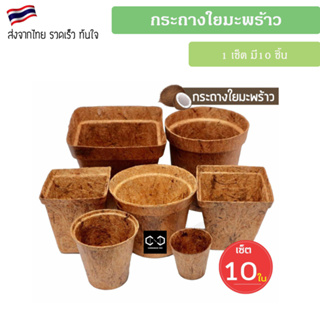 พร้อมส่ง (แพ็ค 10 ชิ้น) กระถางต้นไม้ใยมะพร้าว กระถางใยมะพร้าว กระถาง gallon pot coco pot