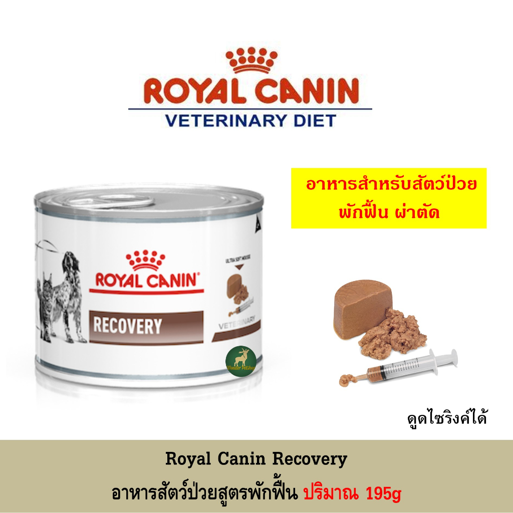 [12กระป๋อง] Royal canin Recovery อาหารสัตว์ป่วย 195g