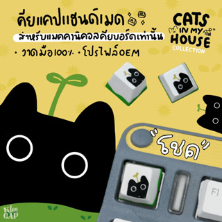 keycap แฮนด์เมด คีย์แคปลาย โชค