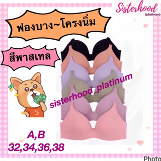 ยกทรง ฟองบาง~โครงนิ่ม~สีพาสเทล sister hood !! จัดส่งเร็ว 1-2วัน !!