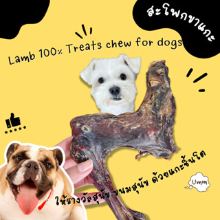 ของขบเคี้ยวสุนัข Lamb for Dog สะโพกขาแกะอบแห้ง 100% ขนมสุนัข ขนมหมาumm