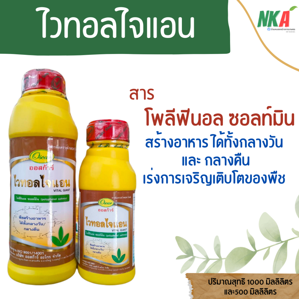ไวทอลไจแอน ตราออสก้าร์ ปริมาณ 1,000-500 มิลลิลิตร สร้างอาหาร ได้ทั้งกลางวัน และ กลางคืน