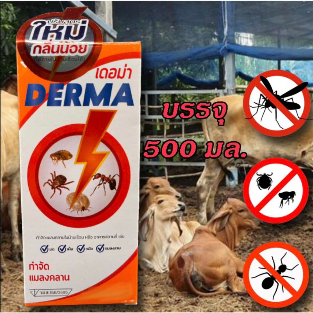 เดอม่าใหญ่ 500 ml กำจัดเห็บหมัด ไร ราดโรงเรือน