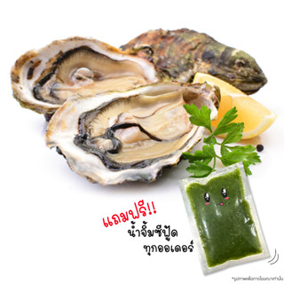 หอยนางรมเกาหลี ไซส์ L - Natural Coast Korean Oyster size L + มีน้ำจิ้มซีฟู้ดแถม