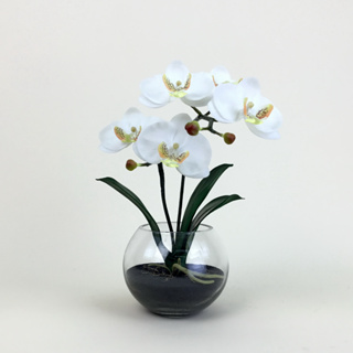 OrientalFineArt ดอกกล้วยไม้ ZCO-6312-N F9 phalaenopsis orchid flower plant arrangement จัดในแจกันแก้วใสทรงกลม