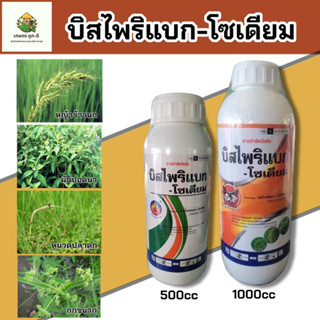 🌾 บิสไพริแบก-โซเดียม ขนาด 1000,500 cc สารกำจัดวัชพืชหลังงอก🌾