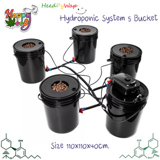 ชุดปลูกครบเซ็ท Hydroponic Grow System Deep Water Culture (DWC) Complete Kit (4 Bucket + Reservoir Kit) full set สำหรับสา