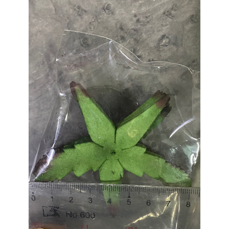 รูปภาพ 8