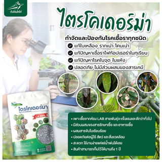 *กำจัดโรคพืช กำจัดเชื้อรา* แบบผง(500กรัม) ไตรโคเดอร์มา ตรา กัปตันโคโค่ ปลอดภัย 100 %