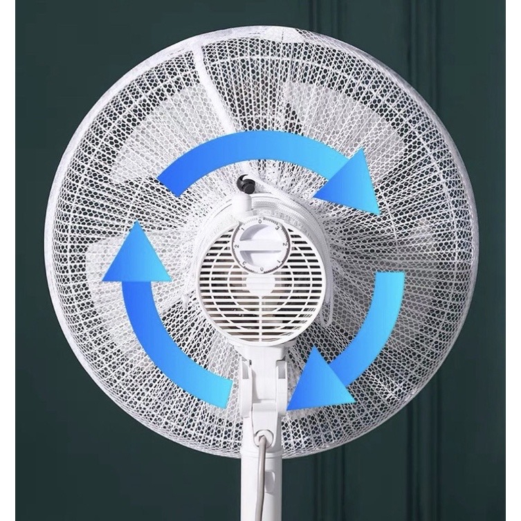 รูปภาพ 5