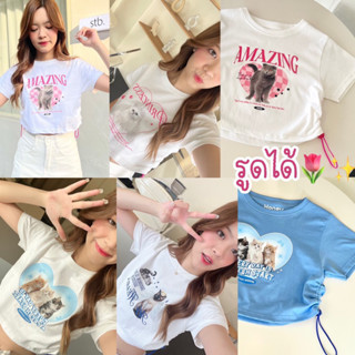 เสื้อครอปพิมพ์ลาย  หมา แมว น่ารักๆ ดีเทลรูดข้าง เสื้อยืดทรง baby crop  ผ้า cotton 100%💖✨ มีลายให้เลือกเยอ