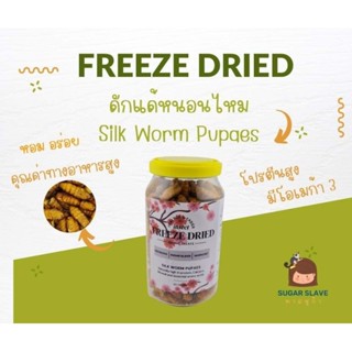 หนอนไหมอบฟรีซดราย Freeze Dried Silk Worm Pupaes สำหรับสัตว์กินแมลง ชูการ์ไกรเดอร์ เม่นแคระ กระรอก หนูแฮมสเตอร์ ทะเลทราย