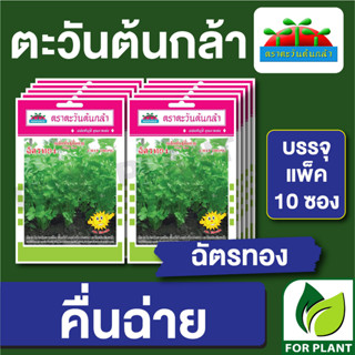 เมล็ดพันธุ์ ผักซอง คื่นฉ่าย ฉัตรทอง ตราตะวันต้นกล้า บรรจุแพคล่ะ 10 ซอง ราคา 64 บาท