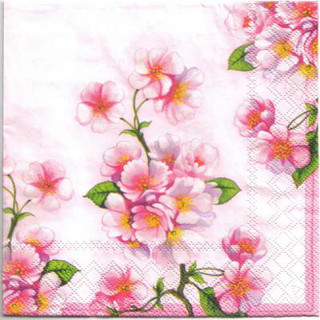 Pladao Napkin ภาพดอกไม้ ภาพสีน้ำ ดอกซากุระ Cherry Blossom กระดาษ แนพกิ้น สำหรับงานศิลปะ เดคูพาจ decoupage ขนาด L 33x33