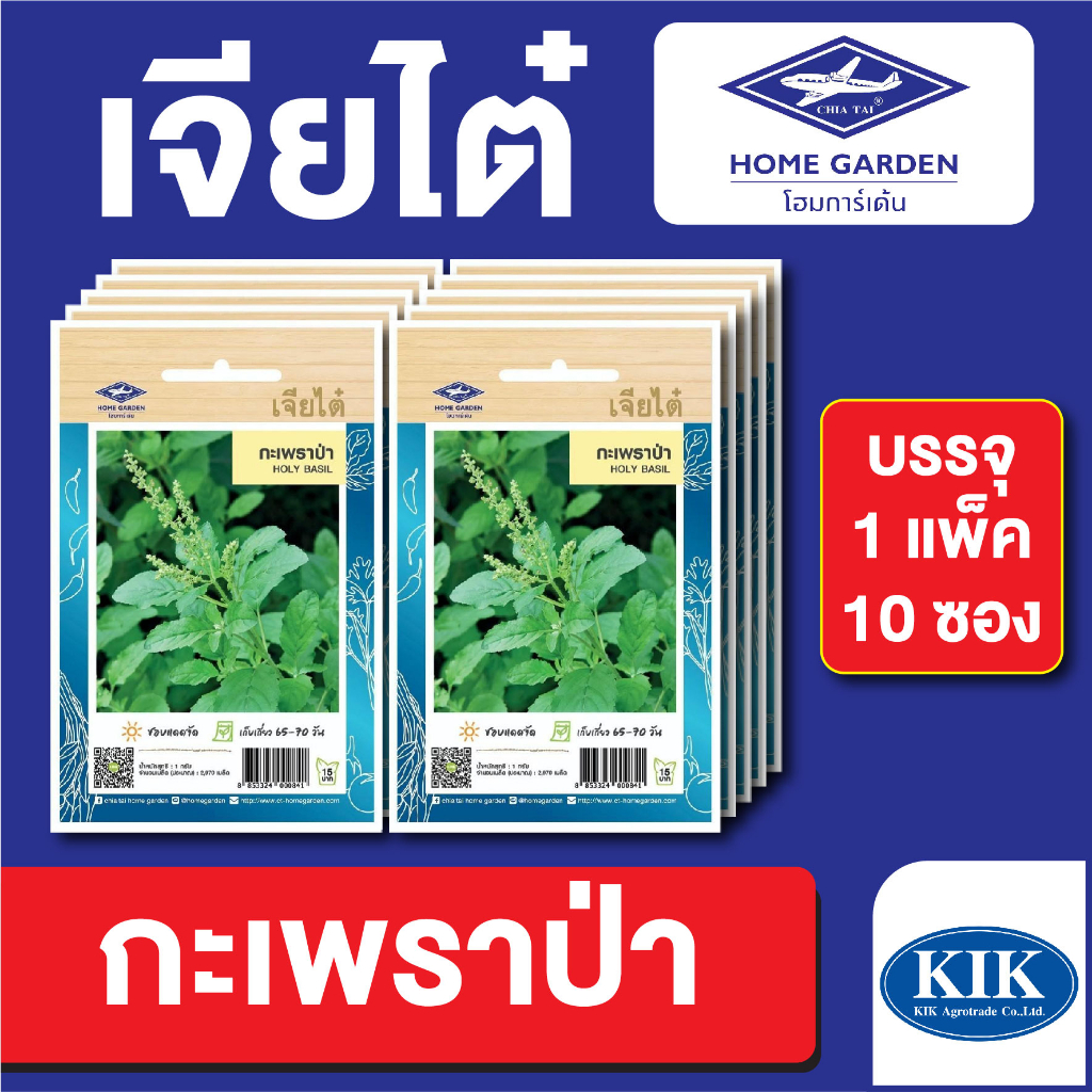 เมล็ดพันธุ์ ผักซอง กะเพราป่า ตราเจียไต๋ CT15 บรรจุแพ็คล่ะ 10 ซอง ราคา 75 บาท