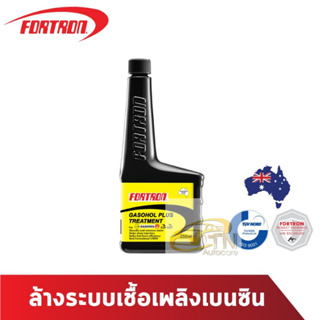 Fortron Gasohol Plus Treatment 250 ml.