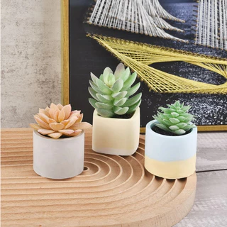พิมพ์กระถางต้นไม้ กระถางต้นไม้ DIY แม่พิมพ์ พิมกระถาง พิมพ์แก้วน้ำ พิมพ์ซิลิโคน ถ้วยใส่เทียนหอม