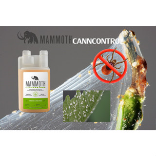 ☠️ฆ่าแมลง Mammoth CANNCONTROL กำจัดไรแดงเพลี้ยไฟโรคราแป้ง บรรจุภัณฑ์แท้