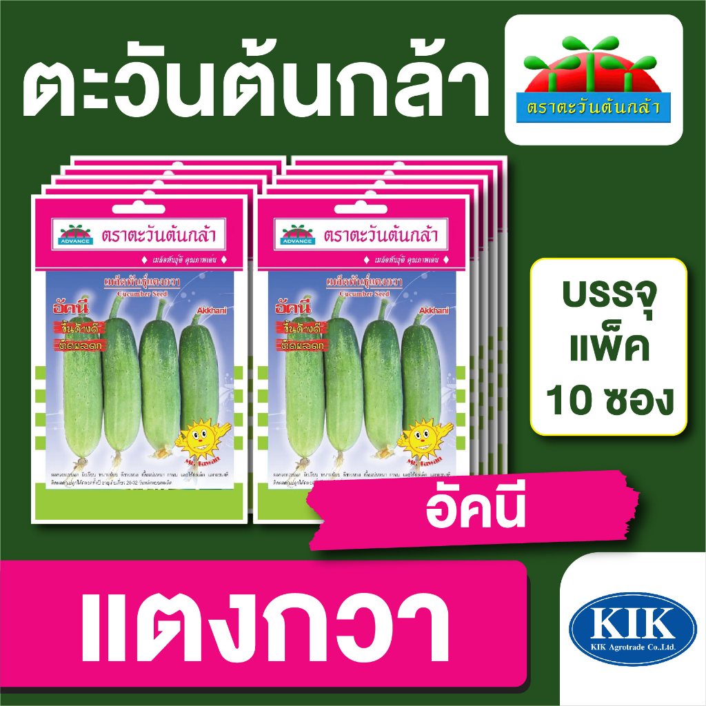 เมล็ดพันธุ์ ผักซอง ตะวันต้นกล้า SP แตงกวา อัคนี บรรจุแพคละ 10 ซอง