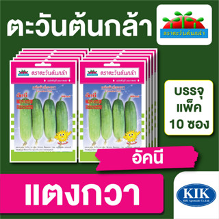 ผักซอง ตะวันต้นกล้า แตงกวา อัคนี บรรจุแพคล่ะ 10 ซอง ราคา 64 บาท