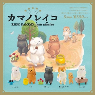 🌻 ของแท้ พร้อมส่ง 🌻 กาชาปอง Daily Life of cat and friends จากศิลปิน Reiko  kamano