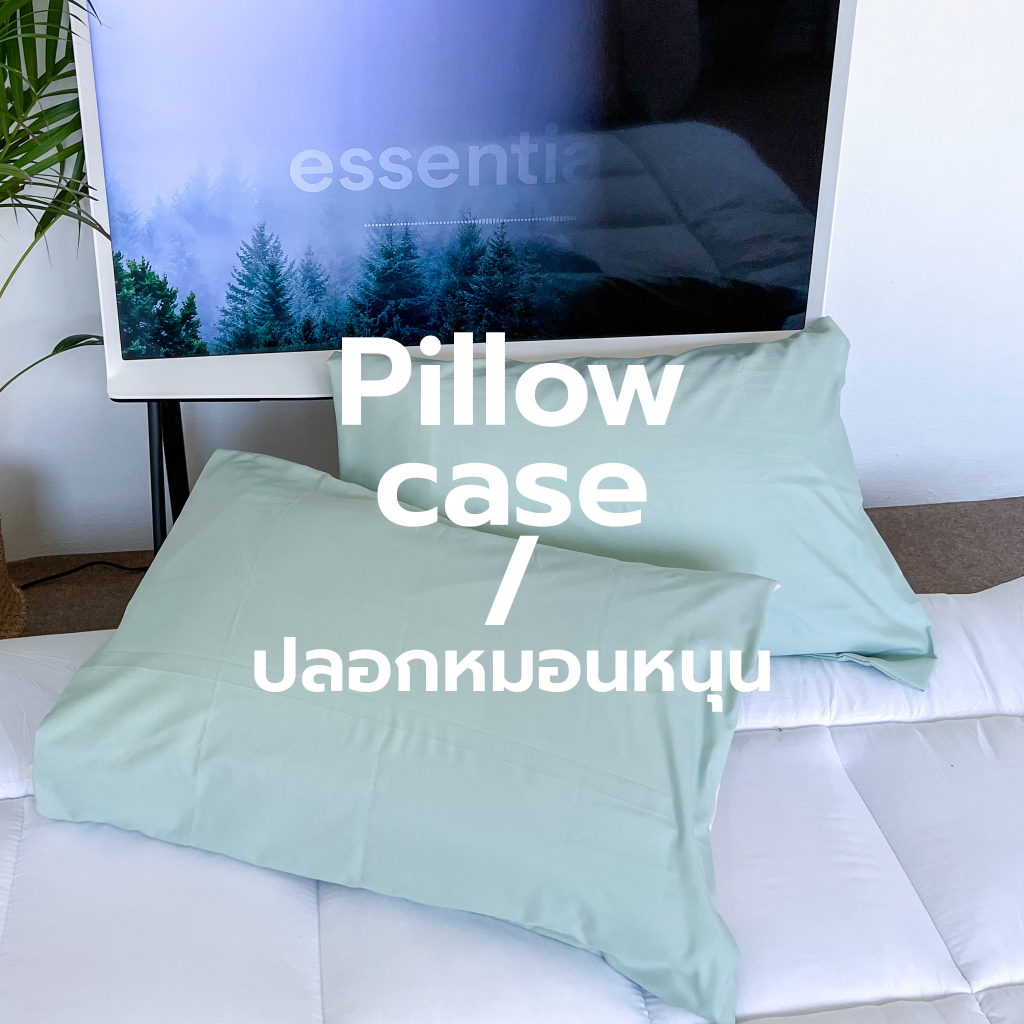 Pillow case ปลอกหมอน รุ่น Soft Silk ปลอกหมอนหนุน สีพื้น สไตล์เกาหลี ผ้าcotton อย่างดี