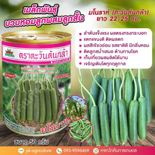 เมล็ดพันธุ์บวบหอมมโนราห์ (ลูกสั้น) 22-25 ซม. ขนาด 50 กรัม