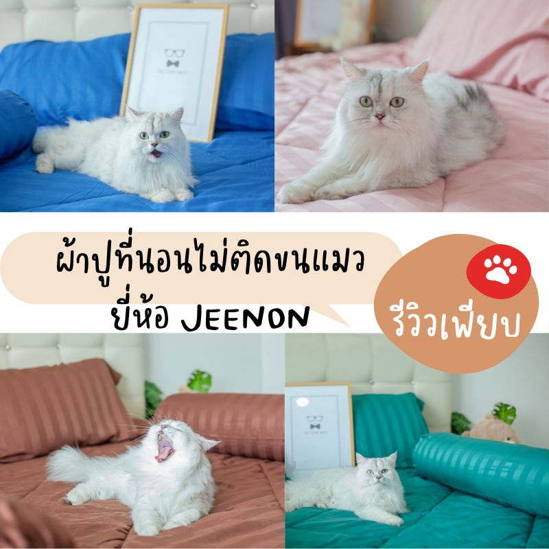 JEENON  ผ้าปูที่นอนไม่ติดขนแมว 3.5ฟุต 5ฟุต 6 ฟุต ผ้าปูที่นอนพร้อมนวม ผ้าปูที่นอนไม่ติดขนสัตว์