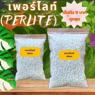 เพอร์ไลท์ (Perlite) พร้อมส่ง เพื่อไม้มงคล ไม้ฟอกอากาศ ไม้ดอก ไม้ประดับ แคคตัส ไม้อวบน้ำ ถูกที่สุดดีเม็ดใหญ่